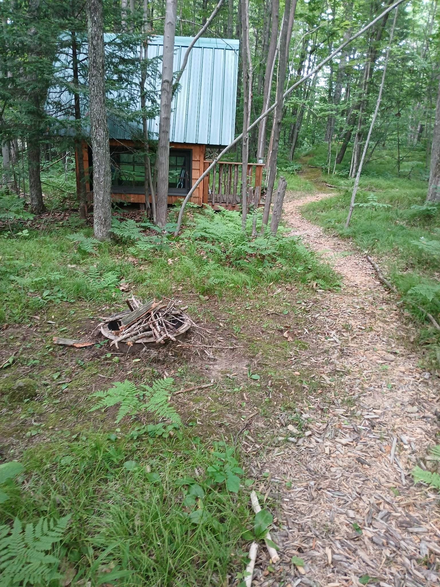 A path through the woods leading to a cabin among the trees