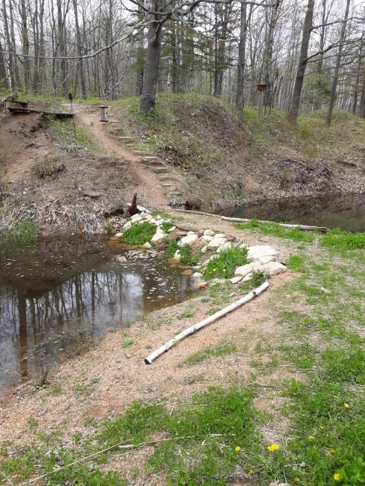 A pond with freshly cut earth banks and a length of pipe lying on the grass