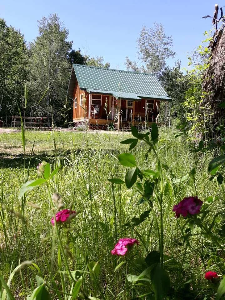 Tall grasses and pink wildflowers in front of a cabin, which is mostly hidden behind them