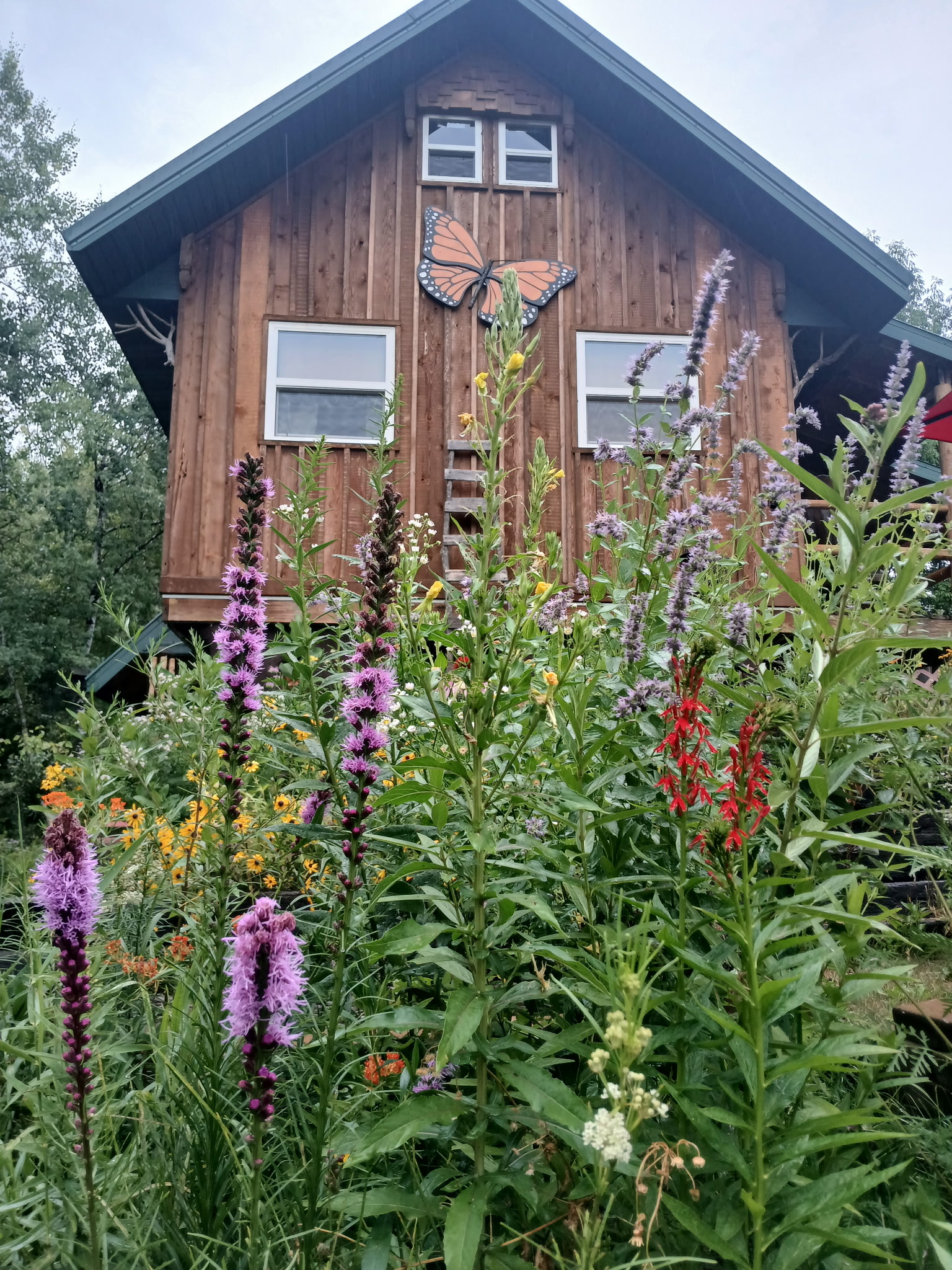 The monarch on the gable of the main cabin, over the prairie garden