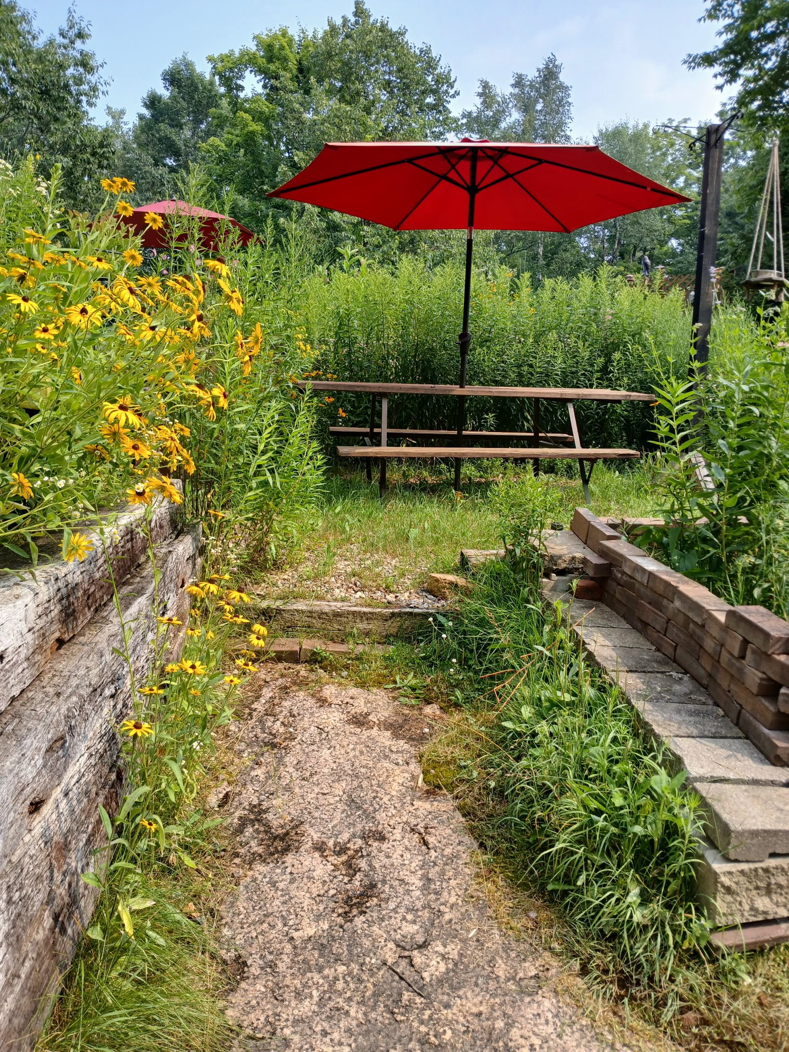 The wildflower meadow beside the yurt, with a picnic table under a red umbrella
