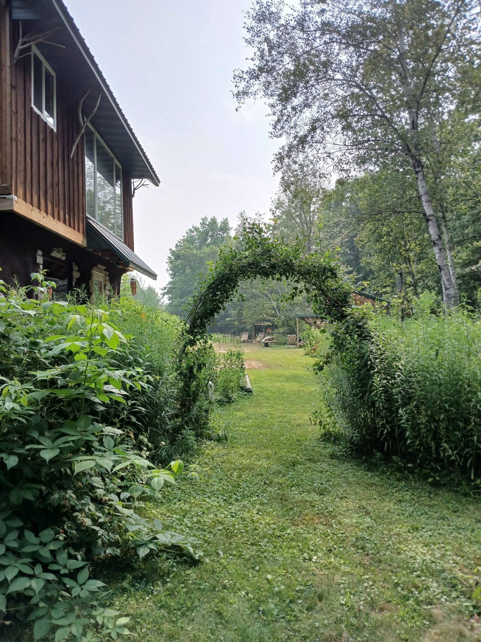 The living willow arch on the retreat grounds