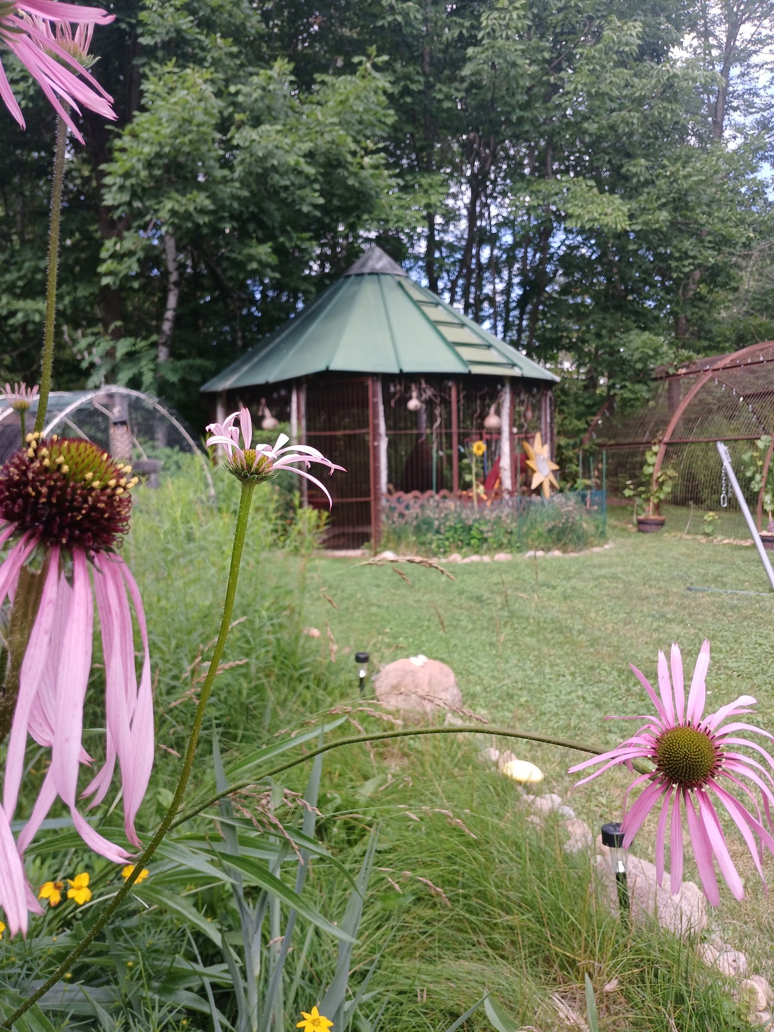 The Wood Turtle yurt, a round canvas yurt in the meadow